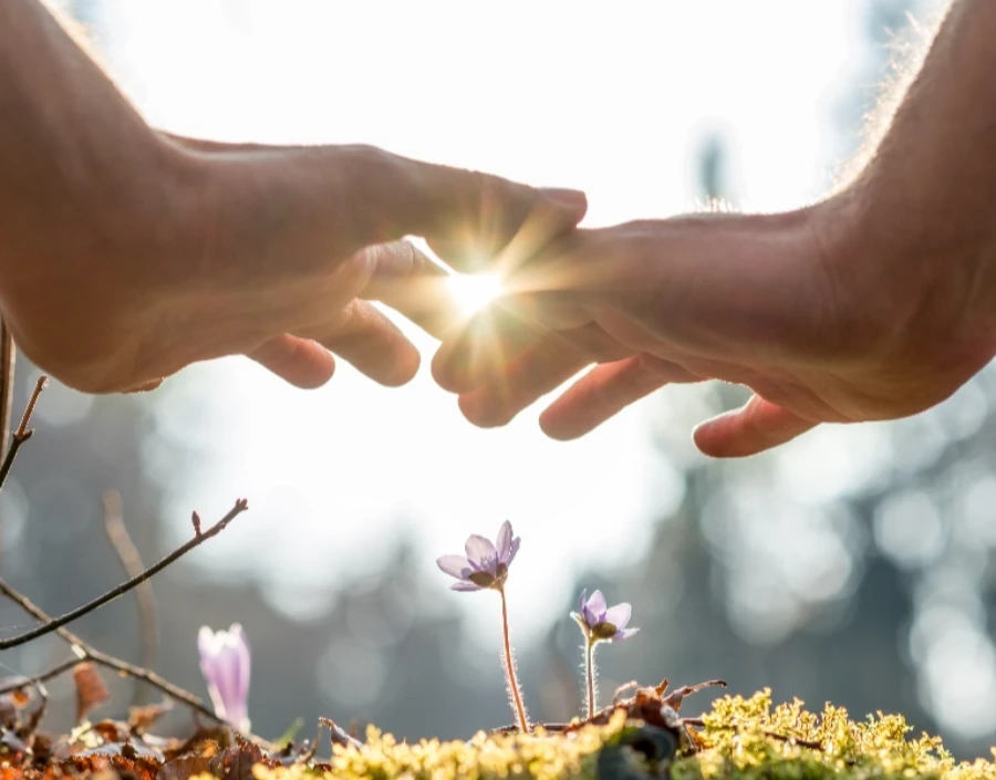 Image for Attune Reflexology Dorking Young Women's Support Service - Get healthy, Organic Products, Motivation, Improve Wellbeing, Teenagers, Menstrual Cycle, Peri Menopausal Symptoms, Parenthood, Anxiety & Low Mood Support, Sleep Problems, High blood pressure, Dorking
